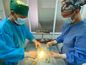 PHẪU THUẬT TẮC PHÂN Ở MÈO