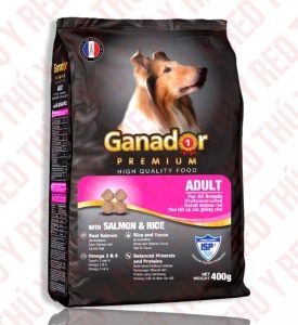 Ganador Adult ( Cá hồi ) 400g