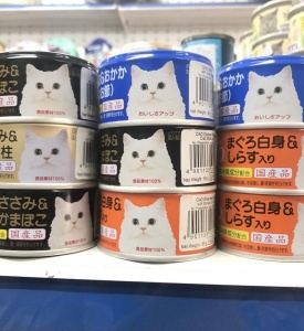 Soup Nekko