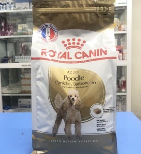 Poodle Adult 1.5Kg