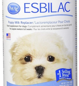 Sữa bột chó sơ sinh Esbilac 340g
