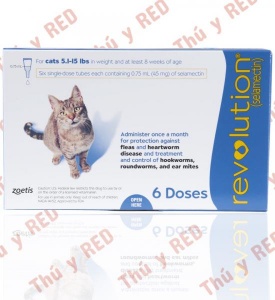 Revolution For Cat > 2,5Kg