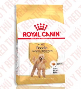 Poodle Adult 500g