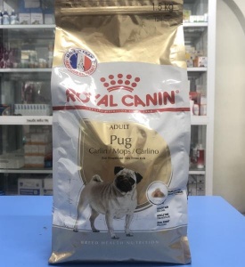 Pug Adult 1.5kg