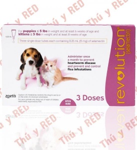 Revolution For Cat and Dog < 2,5Kg