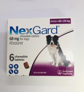 NEXGARD ( 10 - 25  KG )