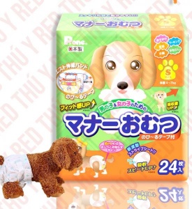 Soup Nekko