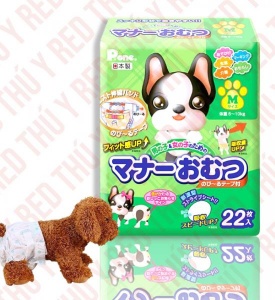 Soup Nekko