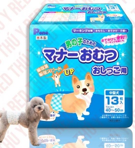 Soup Nekko