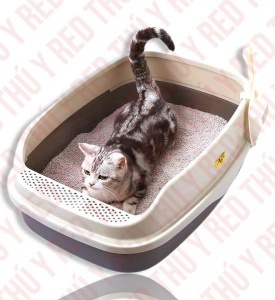 Thùng cát lớn cho mèo đi vệ sinh