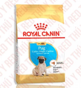 Pug Puppy 500g