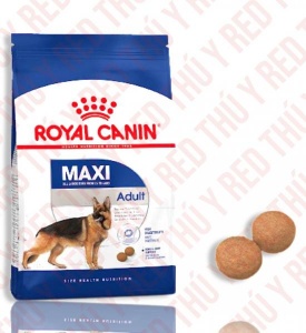 Maxi Adult 1Kg